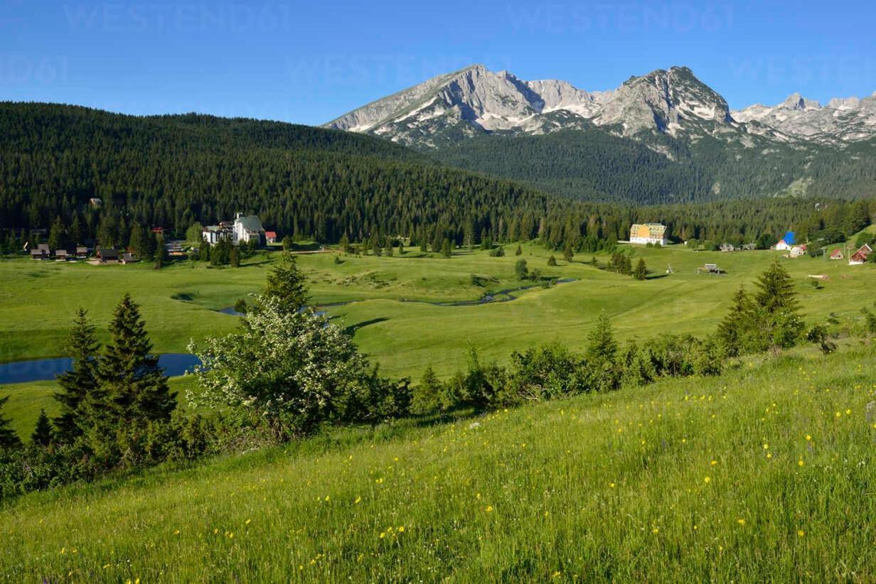 Lux Villas Zabljak Exteriör bild